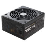 EVGA SuperNOVA 750 P2  (750 Вт) (1)