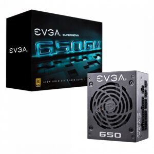 EVGA SuperNOVA 650 GM 123-GM-0650-Y2 650W (650 Вт) — изображение 5