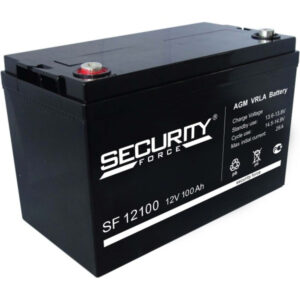 Delta Battery SF 12100 (12В) — изображение 1