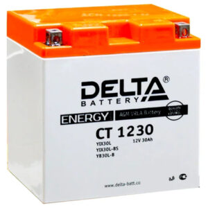 Delta Battery CT 1230 (12В) — изображение 1